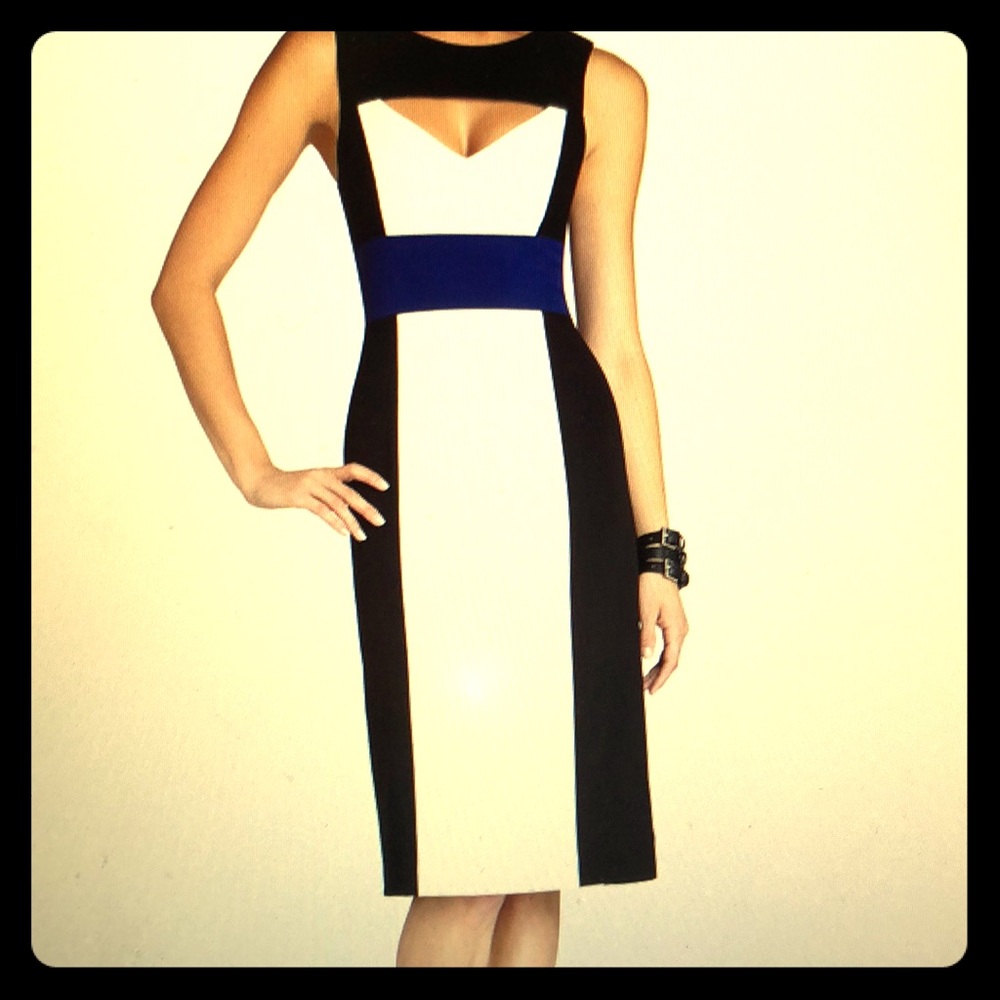 Antonella Color Blocked Sheath Dress